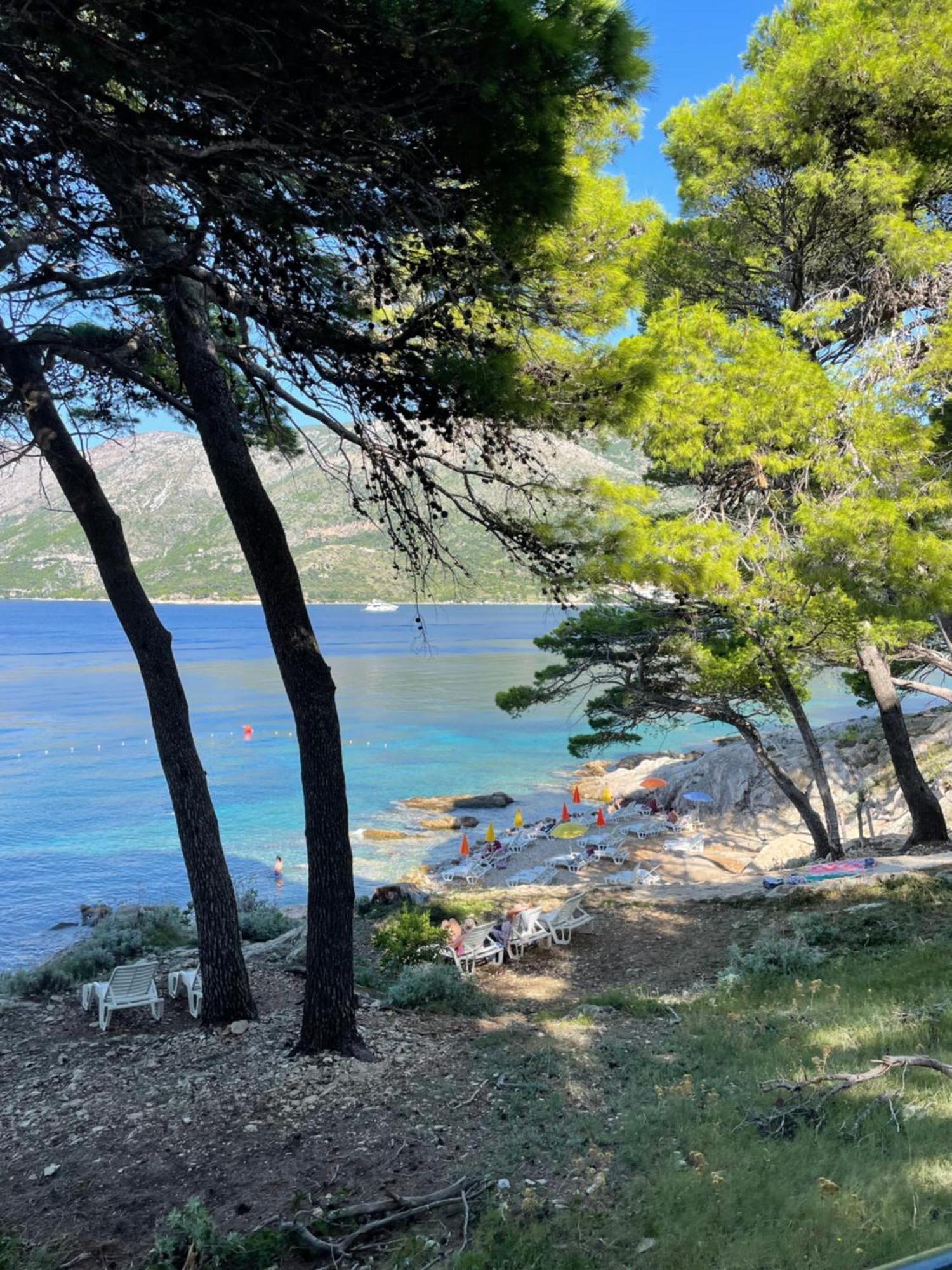 Family Ambient Apartment Cavtat Bagian luar foto