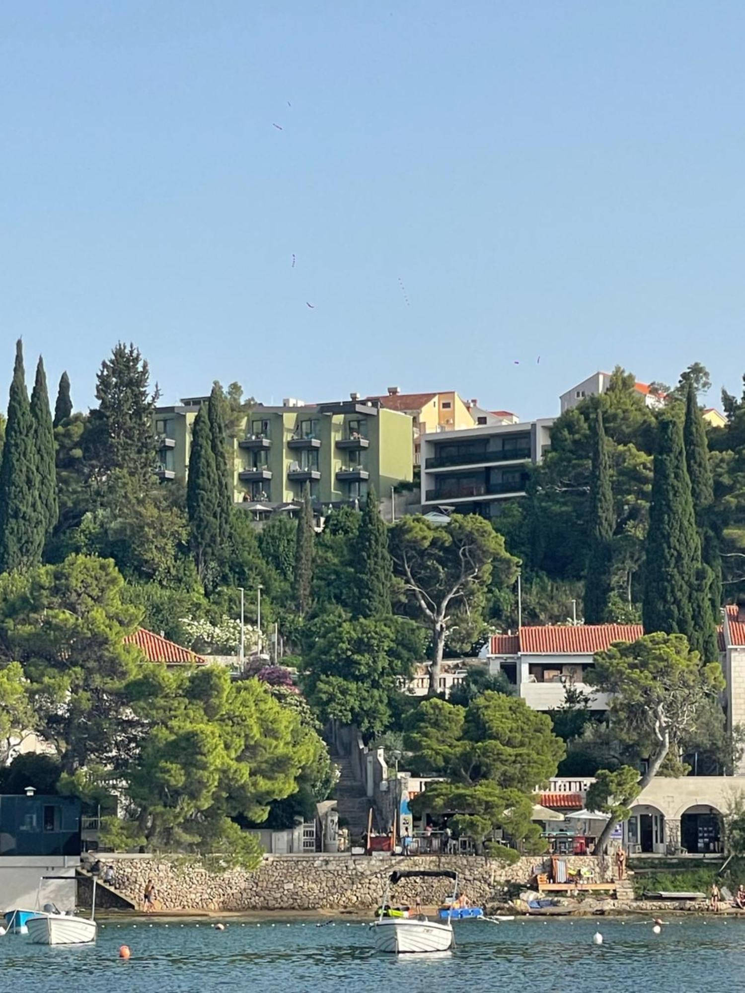 Family Ambient Apartment Cavtat Bagian luar foto
